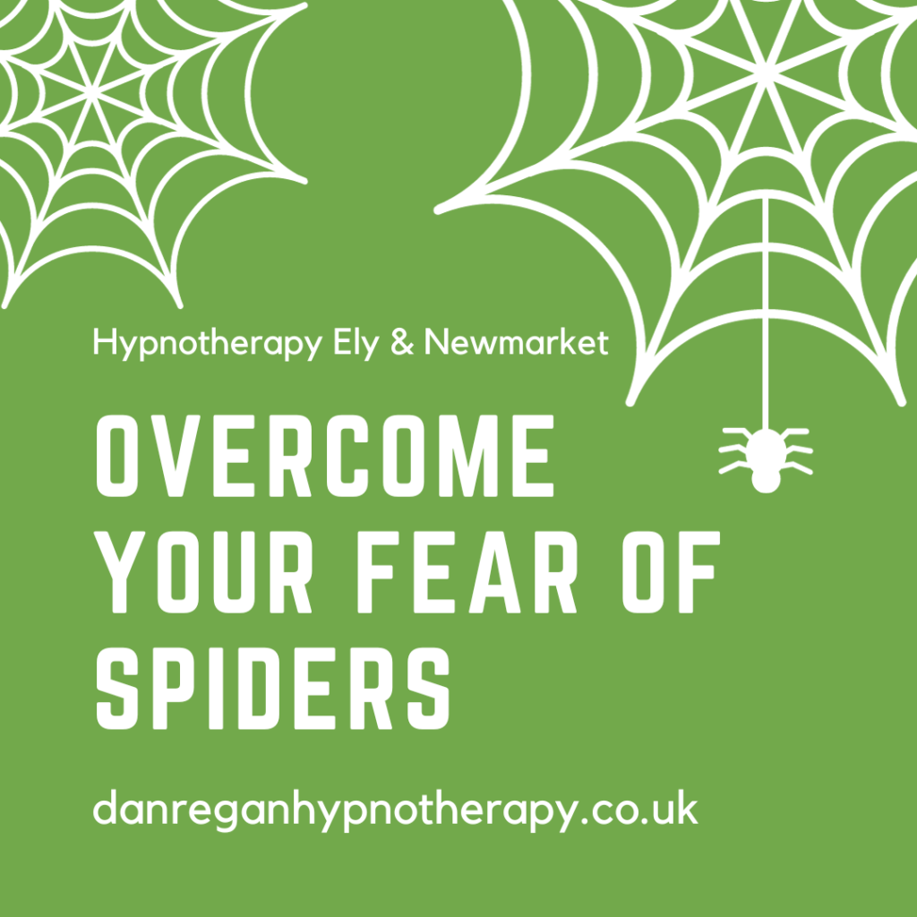 Overcoming your fear of spiders hypnotherapy
