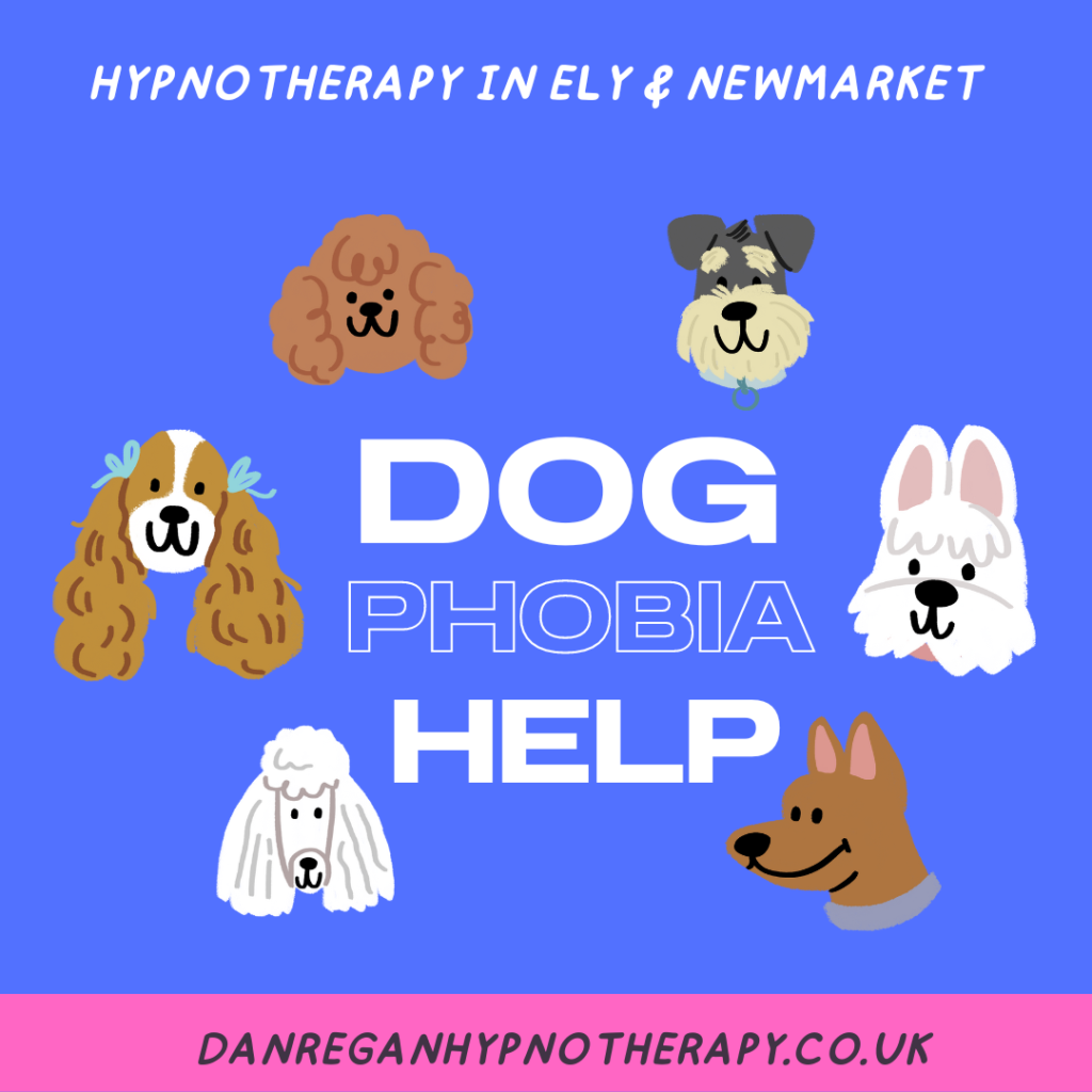 Overcome Dog Phobia Hypnotherapy in Ely