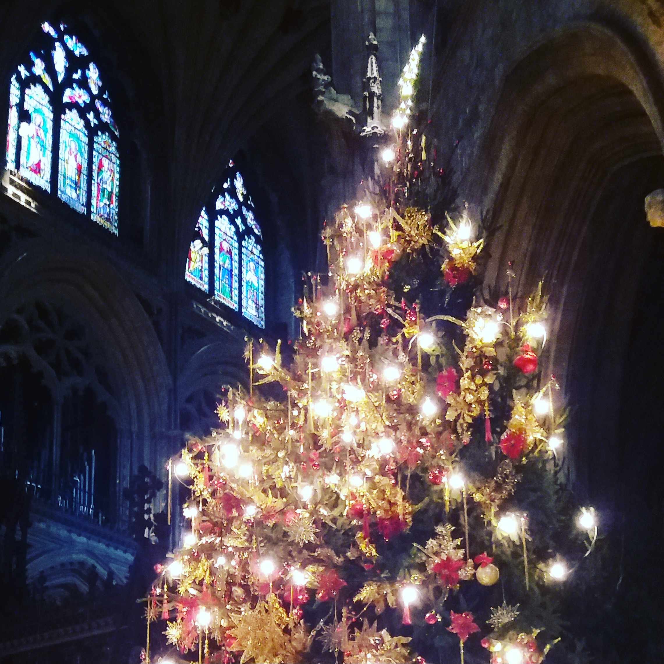 merry christmas ely cathedral hypnotherapy in Ely