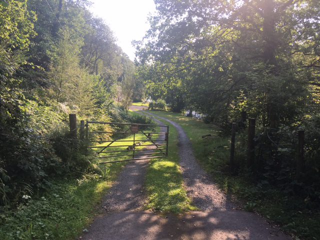 Nature, Fun and Walking in Wales – Hypnotherapy in Ely and Newmarket
