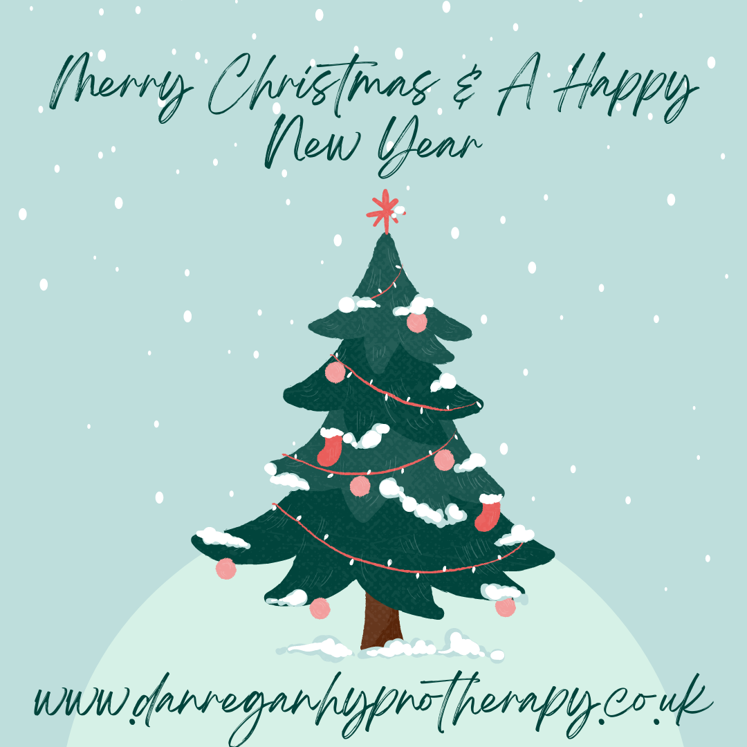 merry christmas from dan regan hypnotherapy ely and newmarket