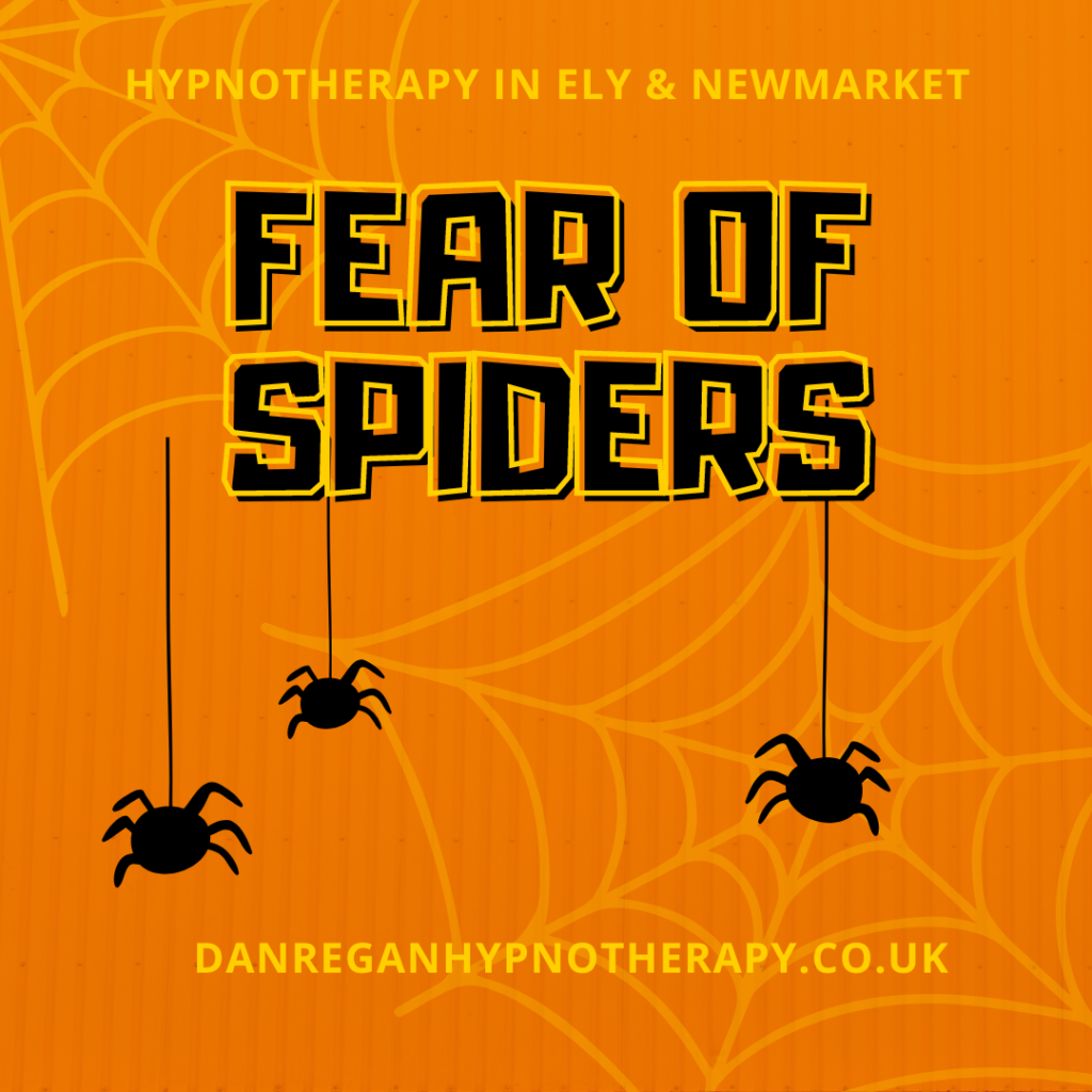 Fear of Spiders - Hypnotherapy in Ely and Newmarket