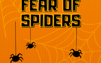 Fear of Spiders – Hypnotherapy in Ely and Newmarket