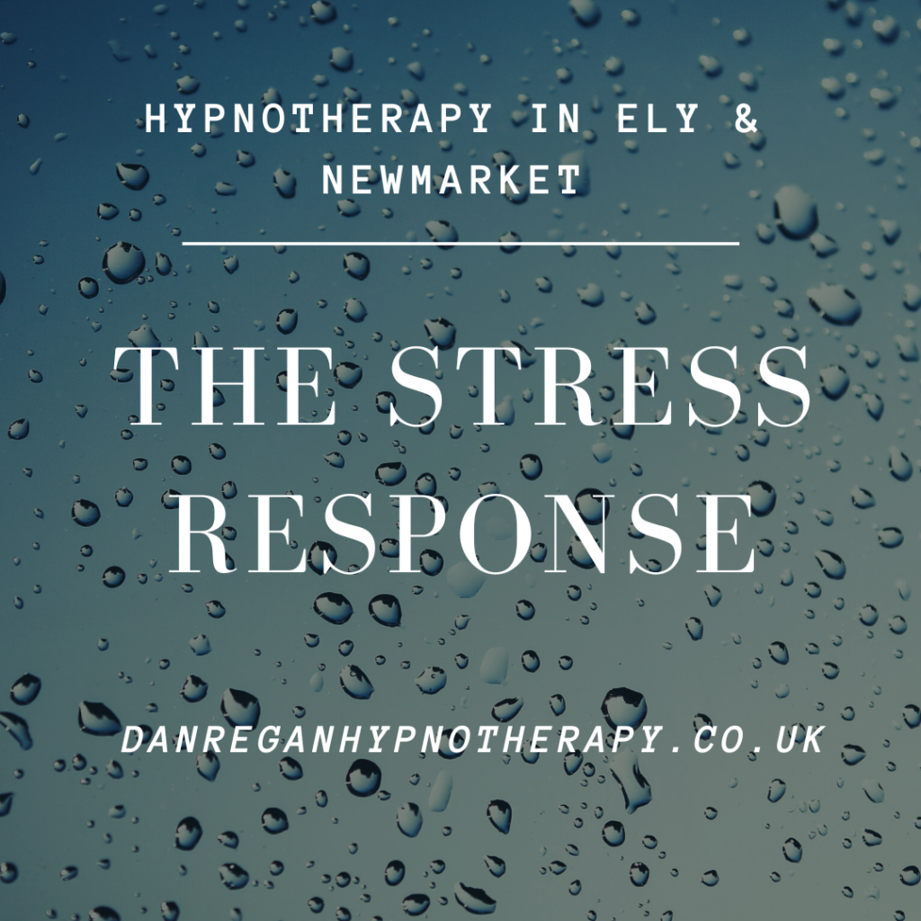 stress response - anxiety hypnotherapy in ely