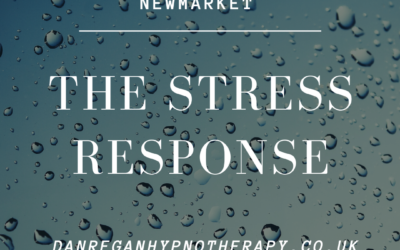 The Stress Response – Hypnotherapy in Ely and Newmarket
