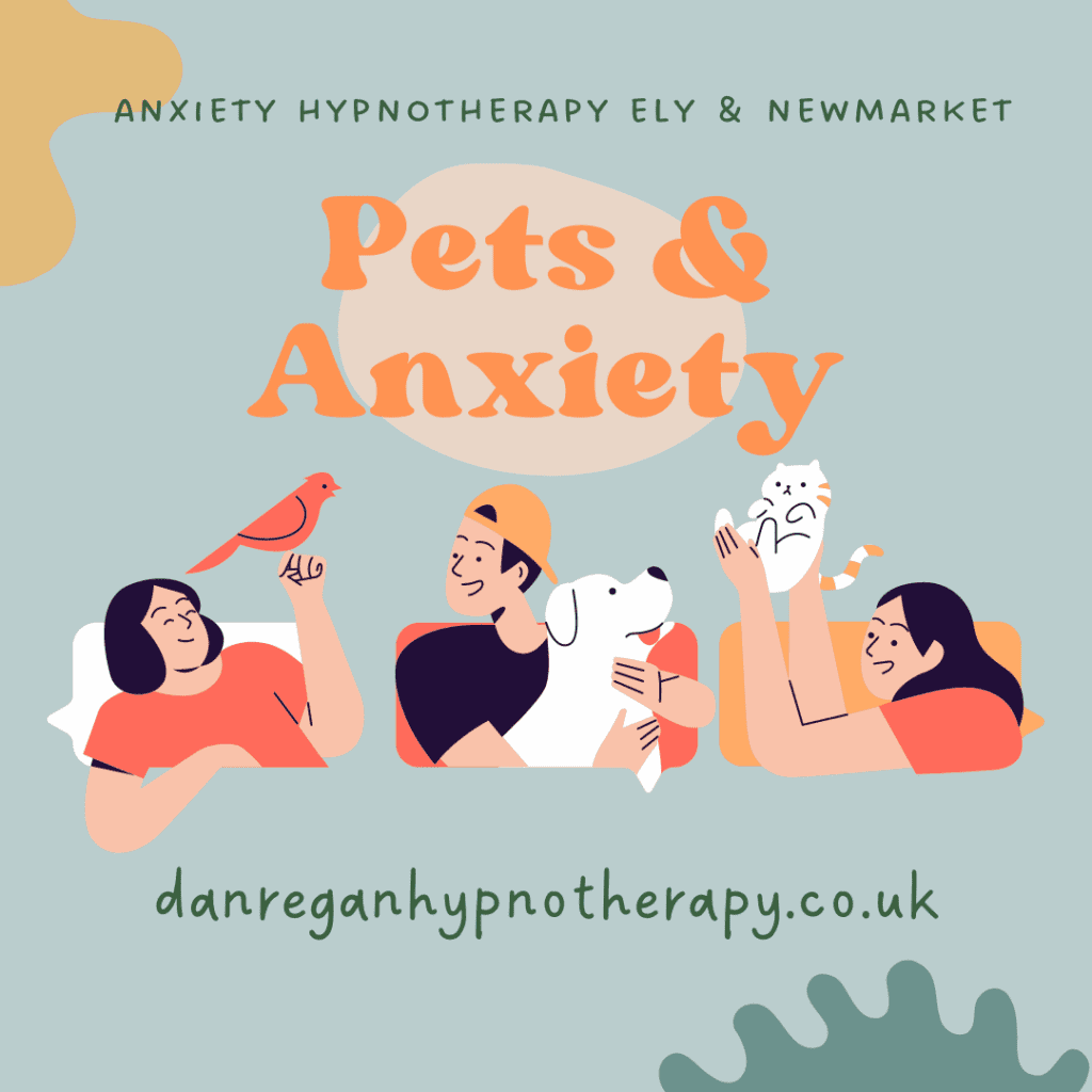 Pets and Anxiety - Hypnotherapy Ely