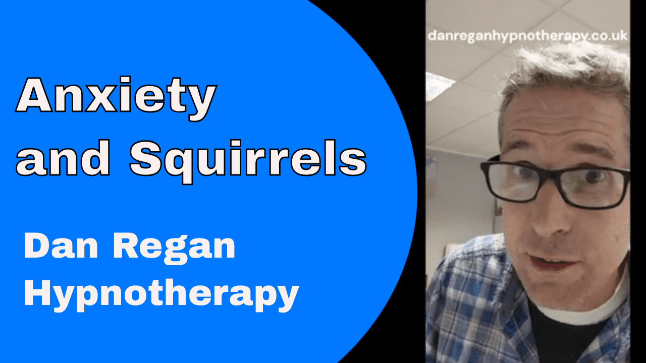 Anxiety and Squirrels - Anxiety in Ely Hypnotherapy