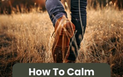 How To Calm Anxiety in the Moment